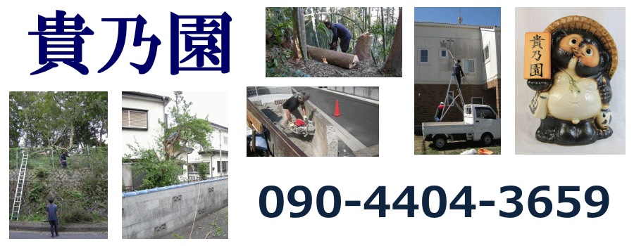 貴乃園　滋賀県多賀町 | 庭木の伐採、立木の枝落し、抜根のホームページです。